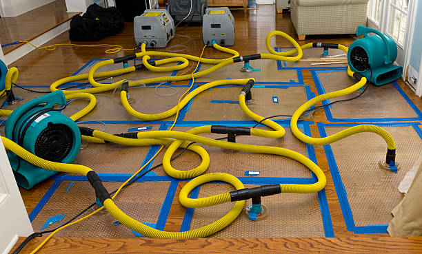Professional Crawl Space Water Removal technician working in Milan, NH